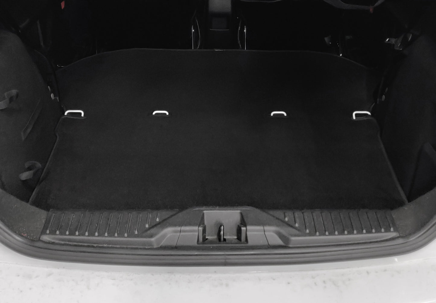 Clubsport Set - Strebe mit Netz für Ford Fiesta ST MK7