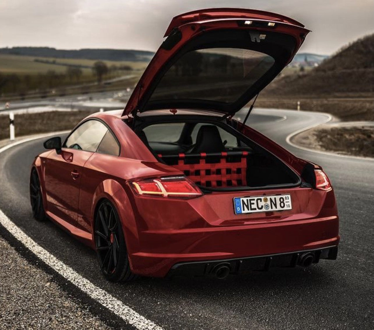 Clubsport Set - Strebe mit Netz für Audi TT / TTS / TTRS 8S