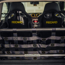 Clubsport Set - Strebe mit Netz für Ford Fiesta ST MK6