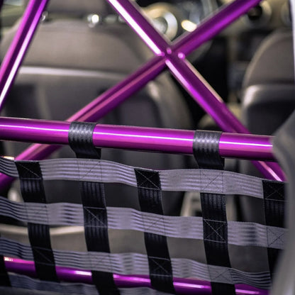 Clubsport Set - Strebe mit Netz für Audi A3 / S3 / RS3 8P